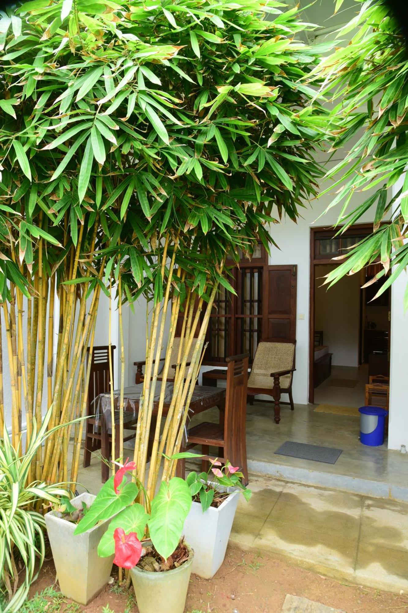 Tranquil Hotel Hikkaduwa Exterior photo